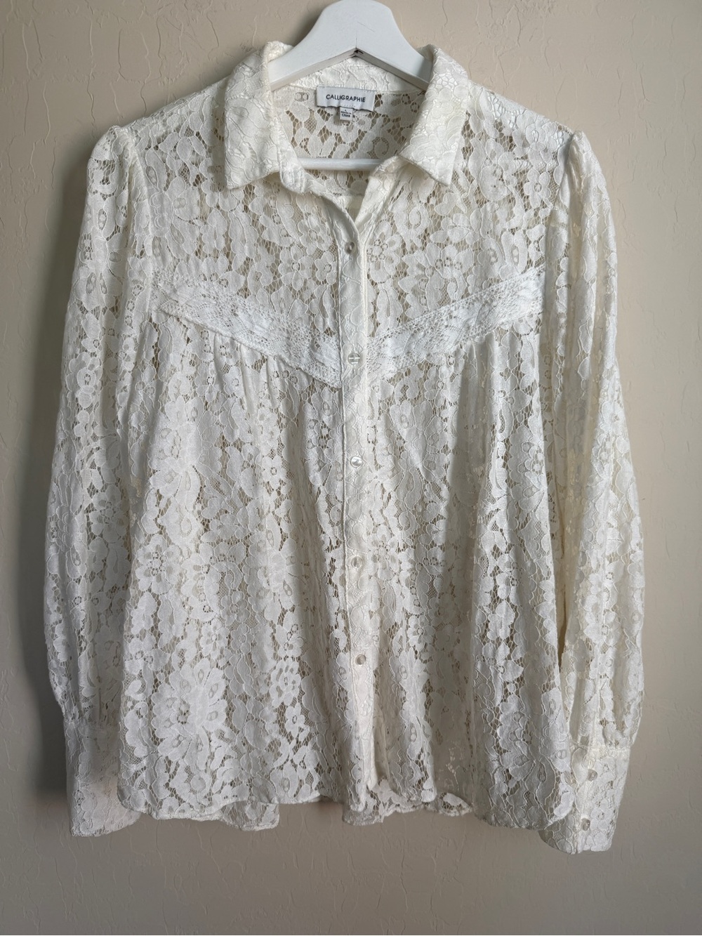 Calligraphic Lace Button-Up Puff Sleeve Sheer Blouse Ivory Women’s Large